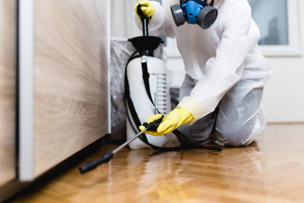 Best Flea Control Services  in Silver Lake, FL