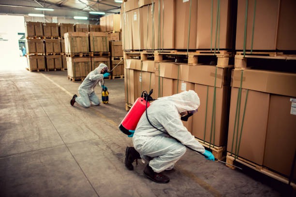 Best Pest Control Near Me in Silver Lake, FL