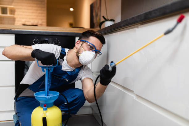 Best Commercial Pest Control Services  in Silver Lake, FL