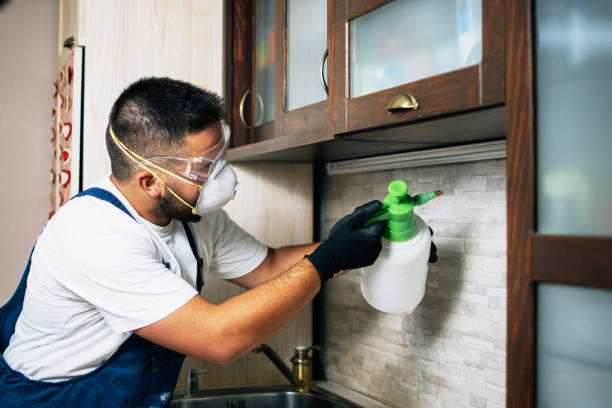 Best Pest Prevention Services  in Silver Lake, FL