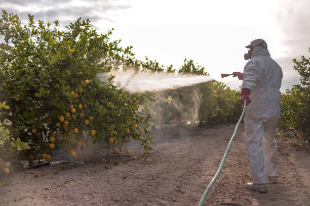 Best Pest Prevention Services  in Silver Lake, FL