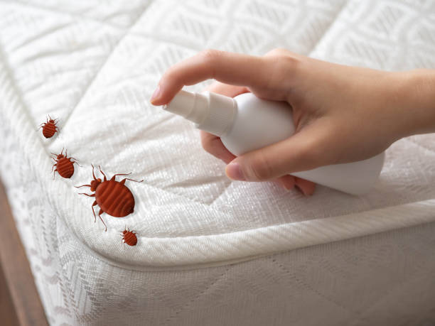 Best Exterminator Services  in Silver Lake, FL