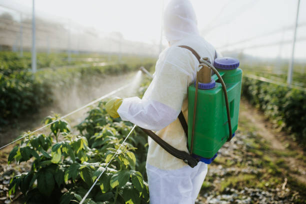 Best Pest Inspection Near Me  in Silver Lake, FL